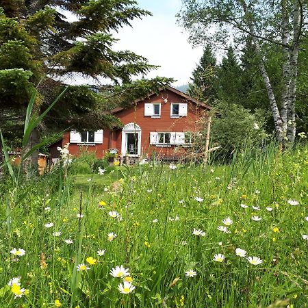 Chalet Chic Wildhaus Extérieur photo