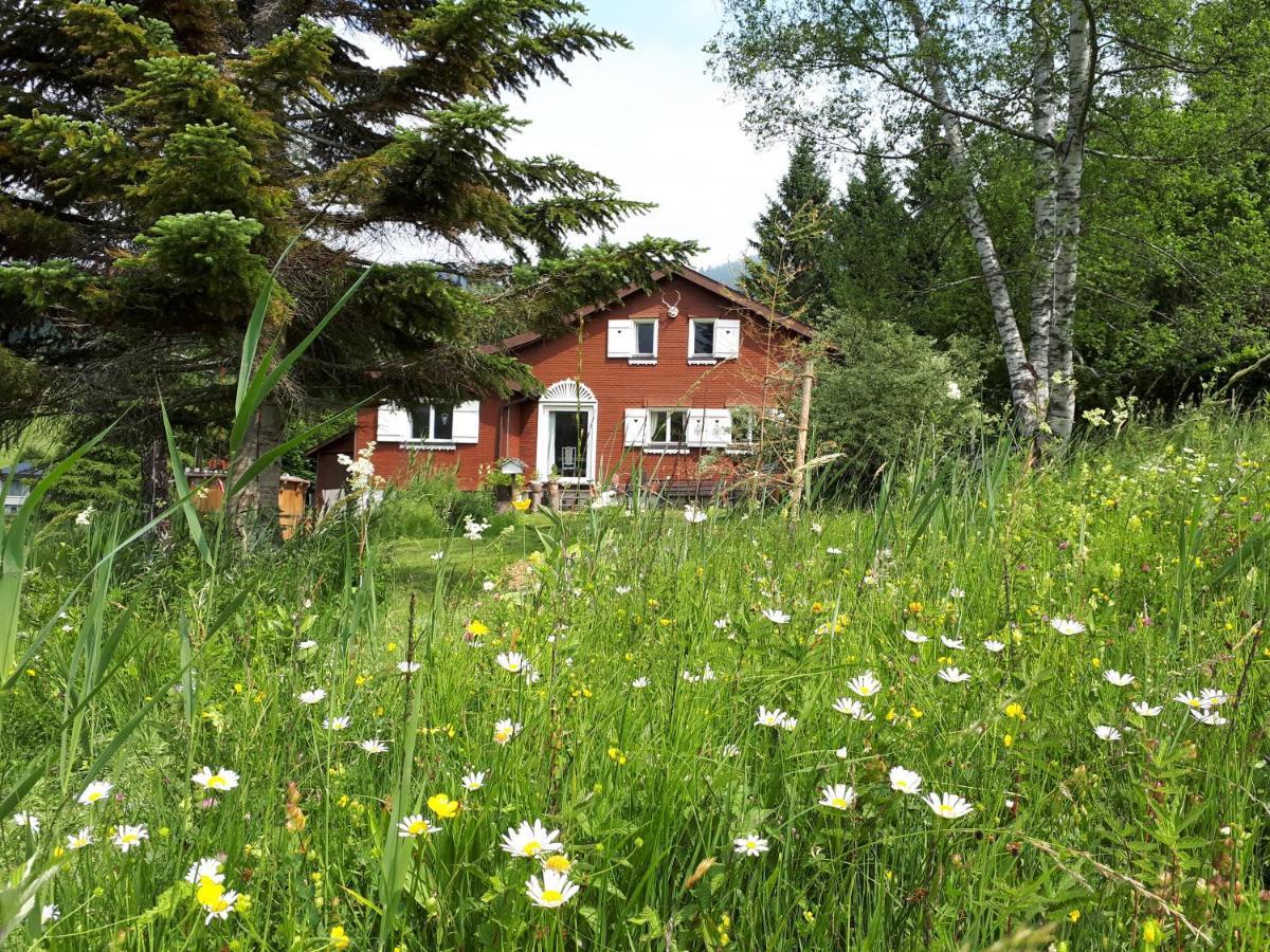 Chalet Chic Wildhaus Extérieur photo
